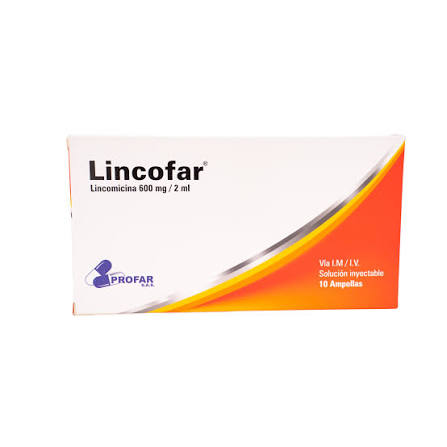 LINCOFAR (LINCOMICINA) 600MG/2ML X 10 AM